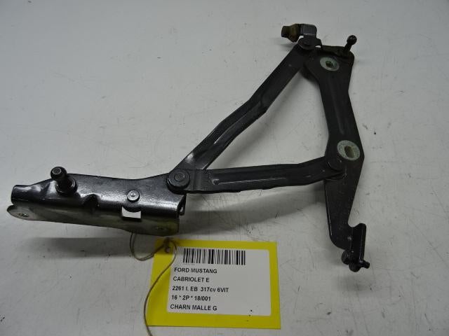 ACHTERKLEPSCHARNIER LINKS Ford USA Mustang VI Convertible, Gebruikt, Mevr. I. Hauben, Rue de l'Espoir 34 34
4030  GRIVEGNÉE, BE