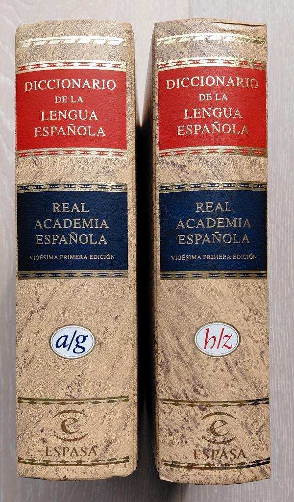 Spaans verklarend woordenboek RAE-1999, Boeken, Woordenboeken, Gelezen, Spaans, Overige uitgevers, Ophalen