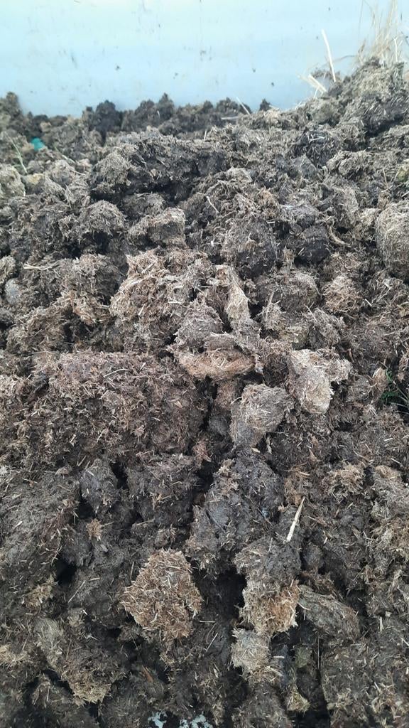 Zuivere paardenmest, zonder stro, Ophalen