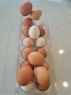 Verse eieren te koop, Diversen, Levensmiddelen, Ophalen