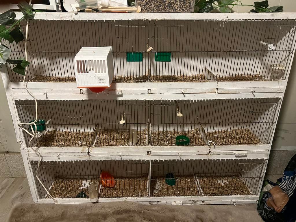 Vogelkooi, Enlèvement, Comme neuf, Cage à oiseaux