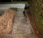 Trap stenen blauwe hardsteen, Ophalen, Zo goed als nieuw