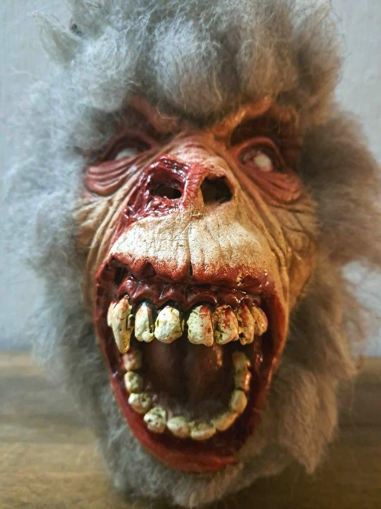 Masque latex horreur, Ophalen of Verzenden, Zo goed als nieuw, Kostuum