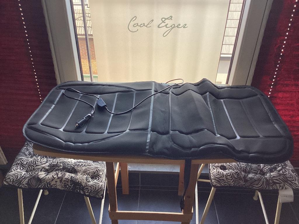 chauffage des sièges d'auto, Enlèvement, Utilisé