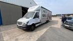 Mercedes Sprinter 319 CDI V6 Année 2018 plus Remorque, Autos, Camionnettes & Utilitaires, Achat, Euro 6, Boîte manuelle, Mercedes-Benz