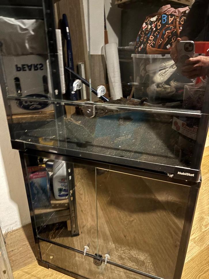 Terrarium, Animaux & Accessoires, Autres accessoires pour animaux, Comme neuf, Enlèvement