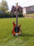 Sterling by Music Man SUB StingRay Ray4, Musique & Instruments, Instruments à corde | Guitares | Basses, Enlèvement, Neuf, Électrique