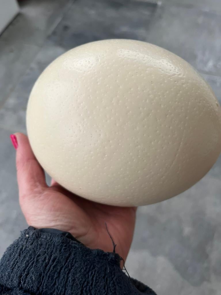 decoratie, Ophalen, Nieuw