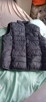 Veste homme sans manches xl. A vendre 8 euros,, Kleding | Heren, Bodywarmers, Ophalen, Maat 52/54 (L), Nieuw, Autres