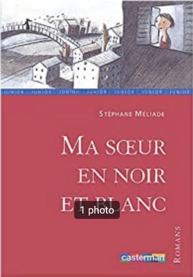 "Ma soeur en noir et blanc" Stéphane Méliade (2004), Livres, Stéphane Méliade, Enlèvement ou Envoi, Fiction général, Utilisé