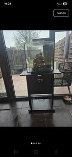Aquarium 60l op voet inclusief benodigdheden, Ophalen, Overige merken, Zo goed als nieuw, Leeg aquarium