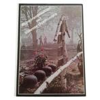 Rouwprentjesalbum van Vlaamse Oostfronters - Deel 1, Ophalen of Verzenden, Landmacht, Boek of Tijdschrift