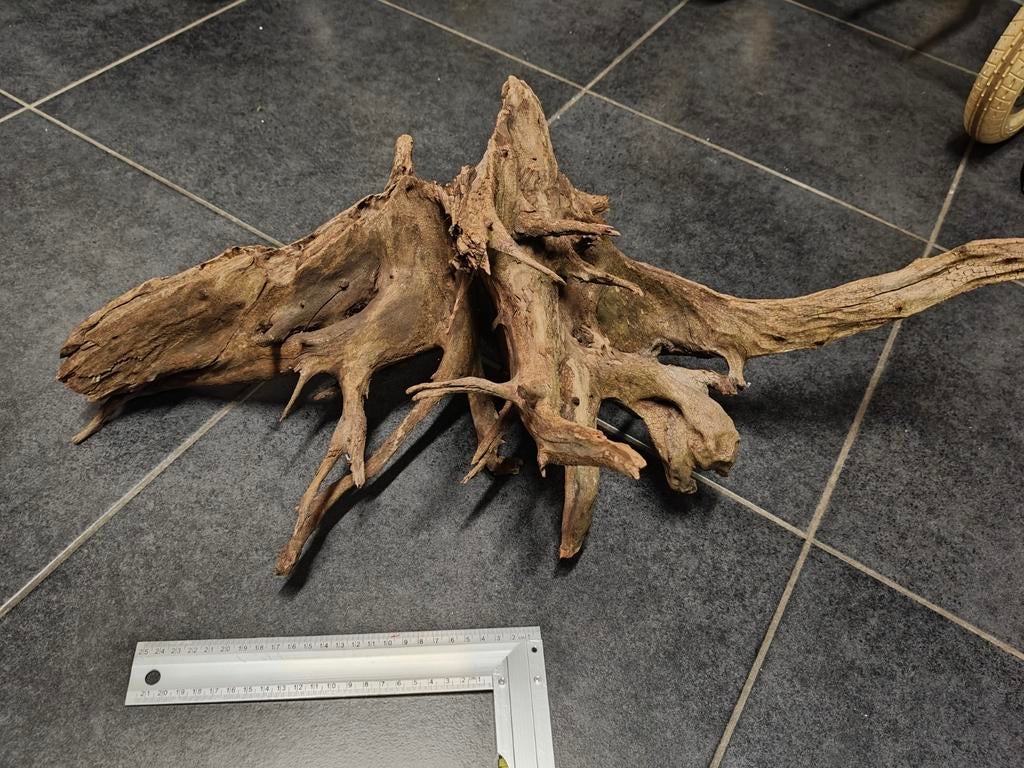 Aquariumhout groot, Ophalen