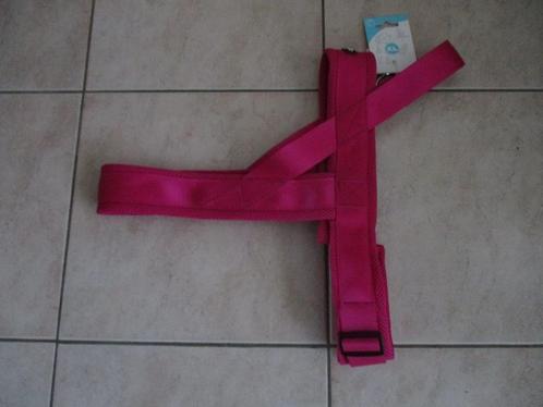 harnas (tuig) voor hond, Dieren en Toebehoren, Overige Dieren-accessoires, Nieuw, Ophalen of Verzenden