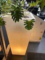 bacs à fleurs blancs illuminés X3, Enlèvement