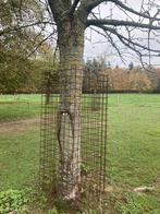 Cerisier, Moins de 3 m³, Enlèvement, Autres essences de bois, Troncs d'arbres