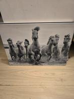 SYMFONISK fotolijst paarden op stoffen doek. 
56cm op 40cm, Ophalen of Verzenden