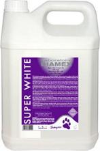 Nieuw Diamex Shampoo Super White-5l