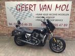 Harley Davidson Street 750. 2015, Motoren, Motoren | Harley-Davidson, 750 cc, 2 cilinders, Sportuitlaat, Bedrijf