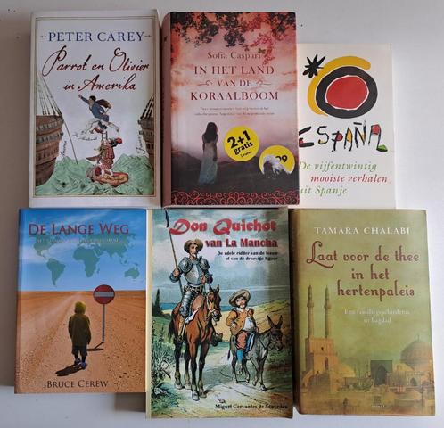 Romans & Literatuur (2), Boeken, Literatuur, Gelezen, Amerika, Ophalen of Verzenden