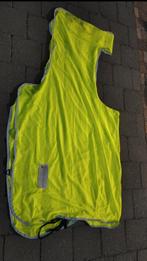 Fluoset paard en ruiter, Dieren en Toebehoren, Ophalen of Verzenden, Zo goed als nieuw