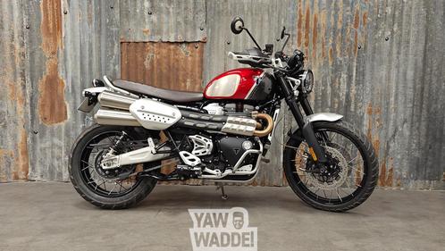 Triumph Scrambler 1200 XC "Gold-Line", Motos, Motos | Triumph, Entreprise, Autre, plus de 35 kW, 2 cylindres, Enlèvement