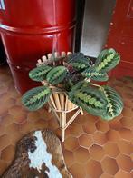 Bamboo plantenhouder, Tuin en Terras, Rond, Zo goed als nieuw, 40 tot 70 cm, Ophalen