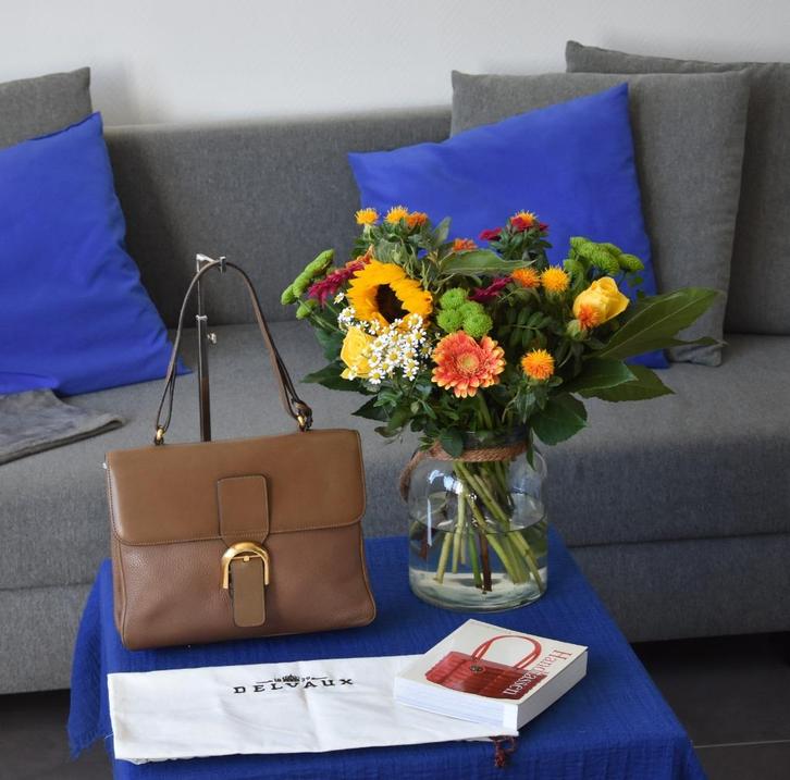 Delvaux Aristocrate – Vintage Collectors Item, Handtassen en Accessoires, Tassen | Damestassen, Gebruikt, Handtas, Bruin, Ophalen