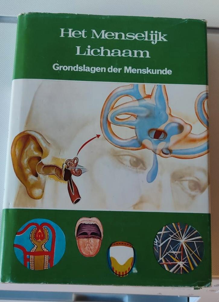 Het menselijk lichaam, Boeken, Schoolboeken, Zo goed als nieuw, Biologie, Ophalen of Verzenden