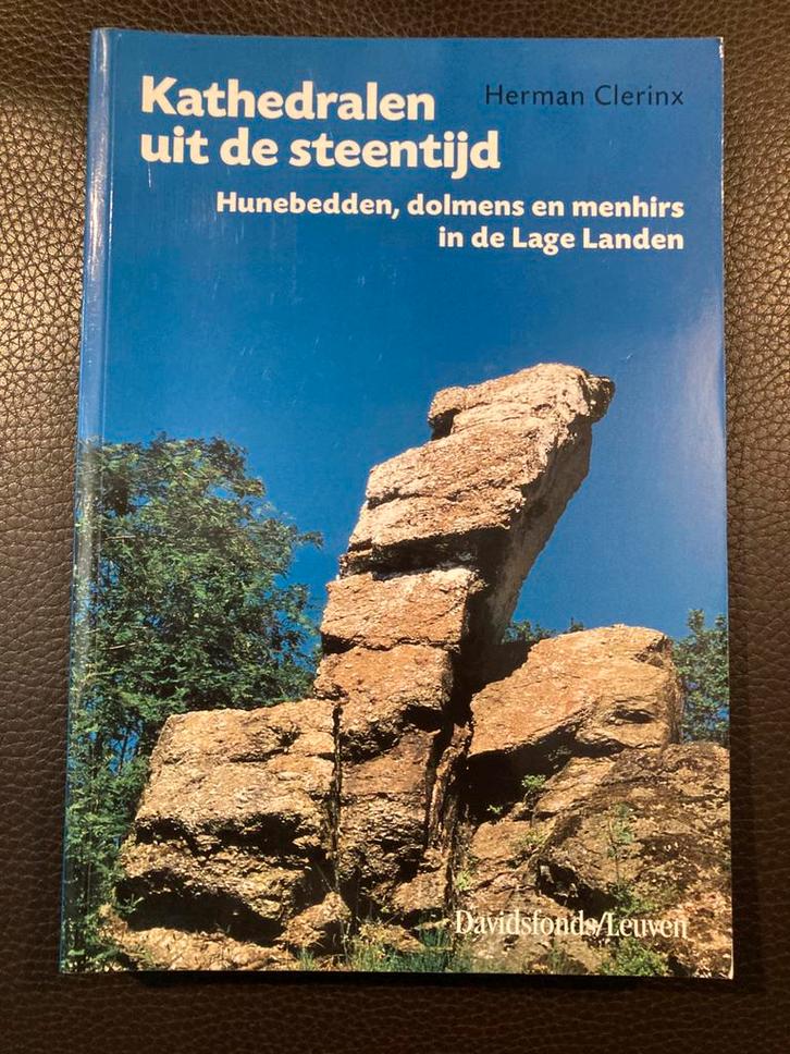 H. Clerinx - Kathedralen uit de steentijd, Boeken, Overige Boeken, Nieuw, Ophalen