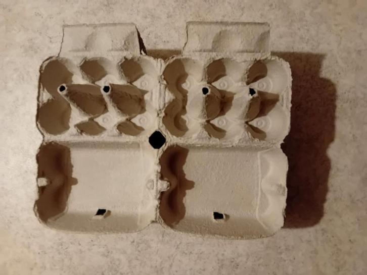 eierdozen - NIEUW, Zakelijke goederen, Horeca | Food, Overige typen, Ophalen