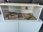 Hamsterhok., Dieren en Toebehoren, Ophalen, Zo goed als nieuw