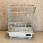 Canaris mâle avec cage neuve, Animaux & Accessoires, Mâle, Canari de couleur
