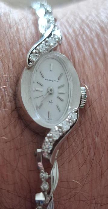 Pracht Hamilton dameshorloge, 14 karaat witgoud & diamant💎 beschikbaar voor biedingen