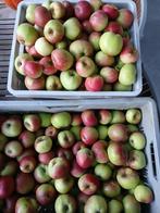 Appelen (dubbele Bellefleur) te koop, Diversen, Levensmiddelen, Ophalen