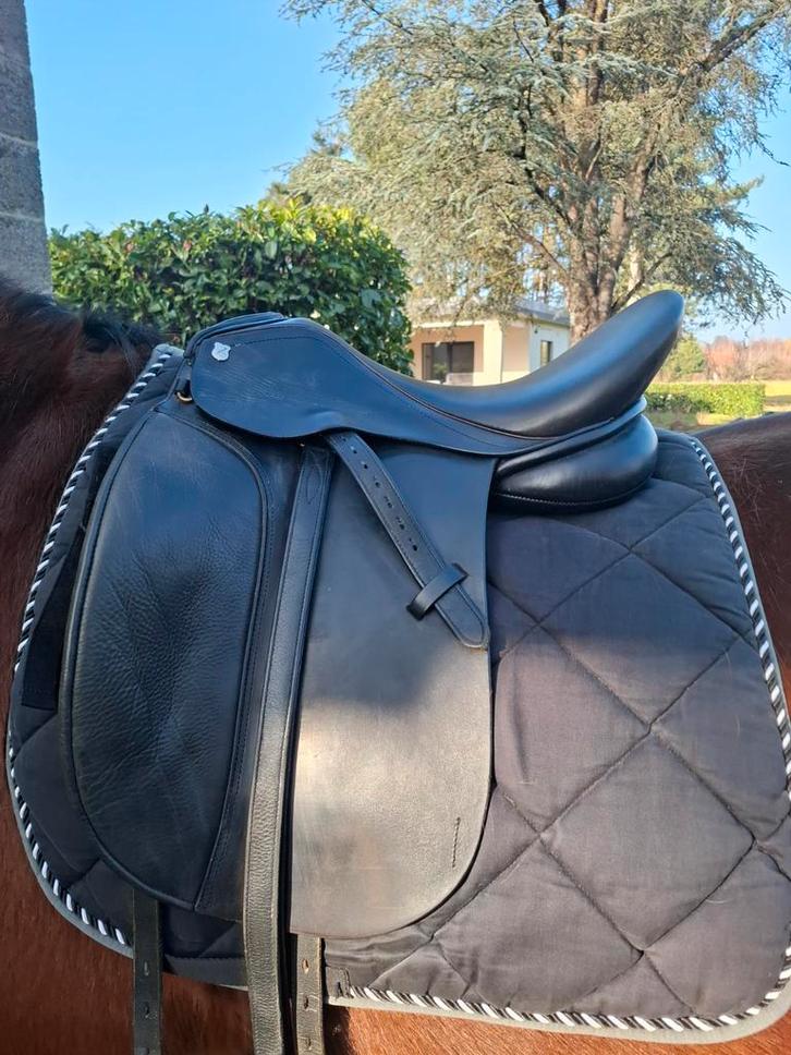 Massimo dressuurzadel, Dieren en Toebehoren, Paarden en Pony's | Zadels, Ophalen