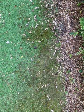 Kunstgras diepte reiniging mos onkruid in tuin of sportveld beschikbaar voor biedingen