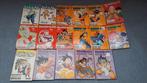 Lot de vieux manga Dragon ball en lot ou à la pièce, Livres, Enlèvement