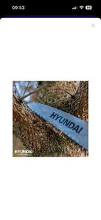 Handzaag, Boeken, Kunst en Cultuur | Fotografie en Design, Ophalen, Nieuw, Overige onderwerpen