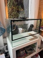 2 terraria met decor en warmte-elementen, Animaux & Accessoires, Enlèvement, Utilisé, Terrarium ou Paludarium