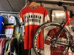 Flandria wollen wielertrui, Ophalen, Zo goed als nieuw, M, Bovenkleding