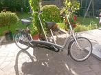 Tandem van raam twinny, Ophalen of Verzenden
