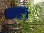 Regenton, Tuin en Terras, 150 liter of meer, Ophalen, Gebruikt, Kunststof