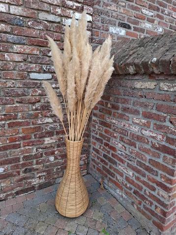 Vase en rotin avec pampas beschikbaar voor biedingen