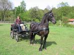 Ideal mentuig zwart leder maat Full, Ophalen, Gebruikt, Recreatie