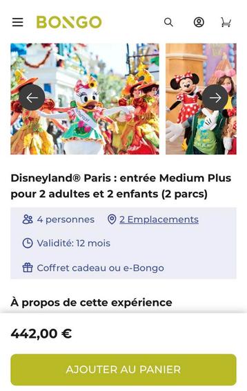 Bongo disneyland paris medium plus 2adultes, 2 enfants, Tickets & Billets, Trois personnes ou plus, Ticket ou Carte d'accès