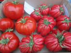 Tomatenzaden vele soorten, Ophalen of Verzenden, Voorjaar, Zaad, Volle zon