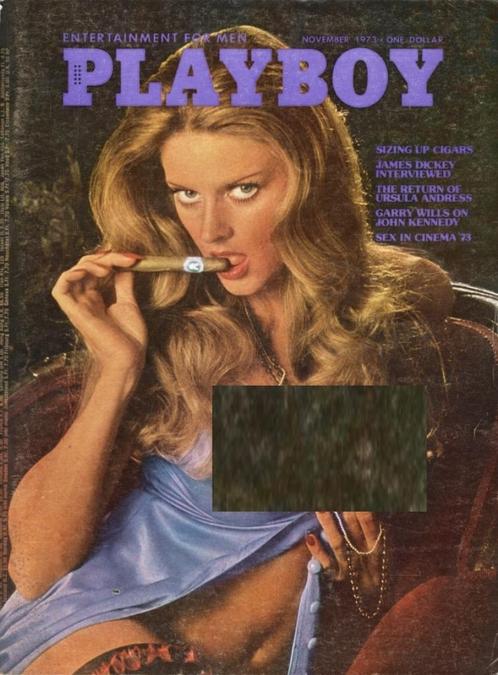 Playboy Amerikaanse (USA US) - November 1973, Boeken, Tijdschriften en Kranten, Gelezen, Overige typen, Verzenden