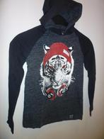 X107.  Sweat à capuche pour garçon de 11 ans, Kinderen en Baby's, Kinderkleding | Maat 146, Gebruikt, Trui of Vest, Ophalen of Verzenden