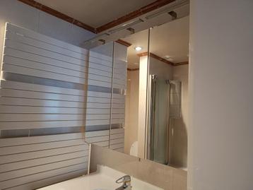 Spiegelkast met 3 spiegeldeuren + LED-verlichting beschikbaar voor biedingen